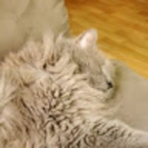 Meet your Posher, Gianni